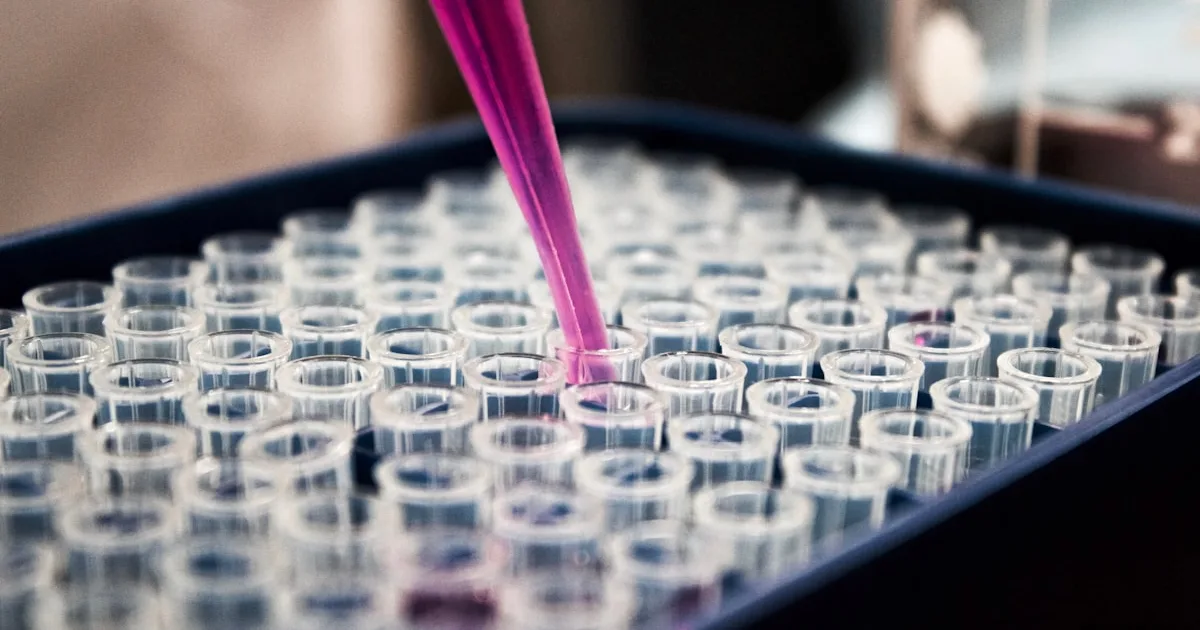 Scientists Discover New Class of Antibiotics Effective Against Drug-Resistant Bacteria