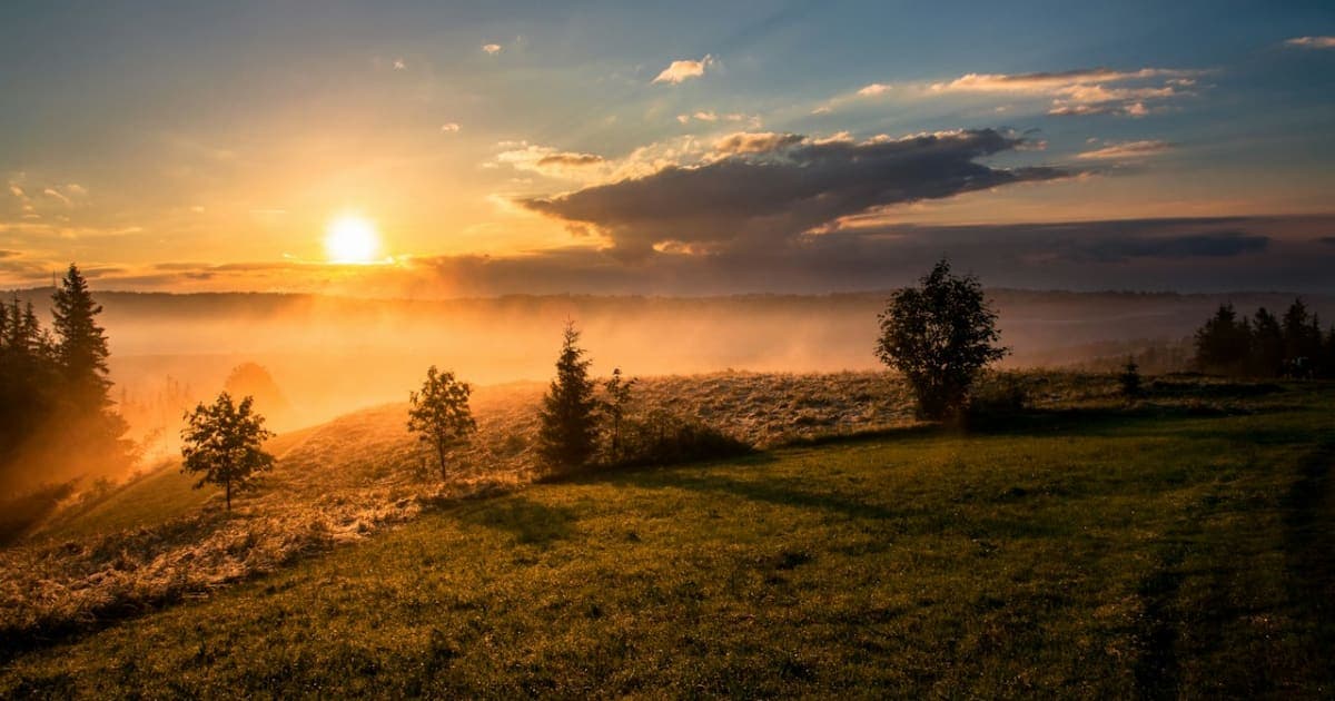 Earth's Hottest August on Record Pushes 2026 Toward Warmest Year Ever