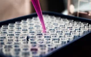 Scientists Discover New Class of Antibiotics Effective Against Drug-Resistant Bacteria