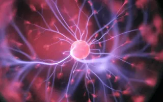 European Nuclear Fusion Experiment Achieves Net Energy Gain for 30 Consecutive Minutes