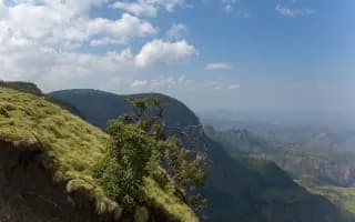 Ethiopia Plants Toward 50 Billion Trees as Citizens Lead a Green Revival Against Deforestation