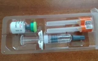 RFK Jr Tells Anti-Vaccine Activists They Have a Friend at the White House Amid Measles Outbreak
